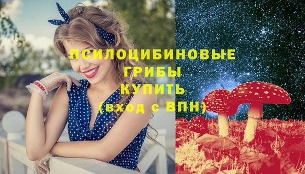 spice Зерноград