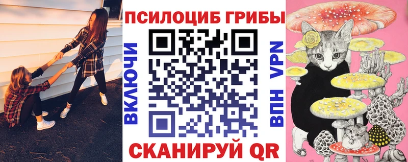 Галлюциногенные грибы ЛСД  Купить закладки  Шумерля 
